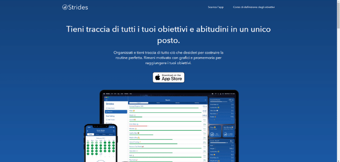 strides-homepage-min