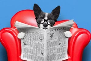 TOP 3 Libri di Marketing da leggere a tutti i costi!