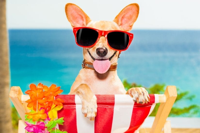 Evergreen Webinar: lo strumento per automatizzare le vendite